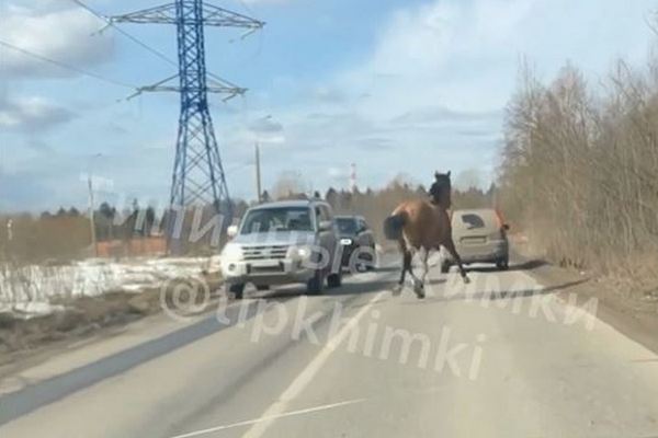 Гей порно зеленоград: 1005 видео в HD