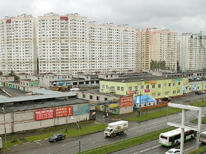 Зеленоград, новости: Андреевка. Глас вопиющего в пустыне