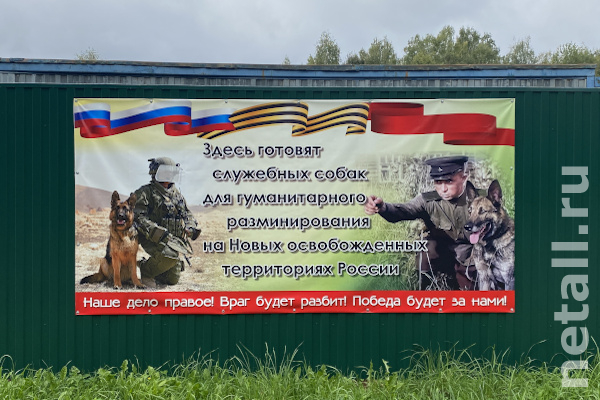 Выгул собак на территории школы