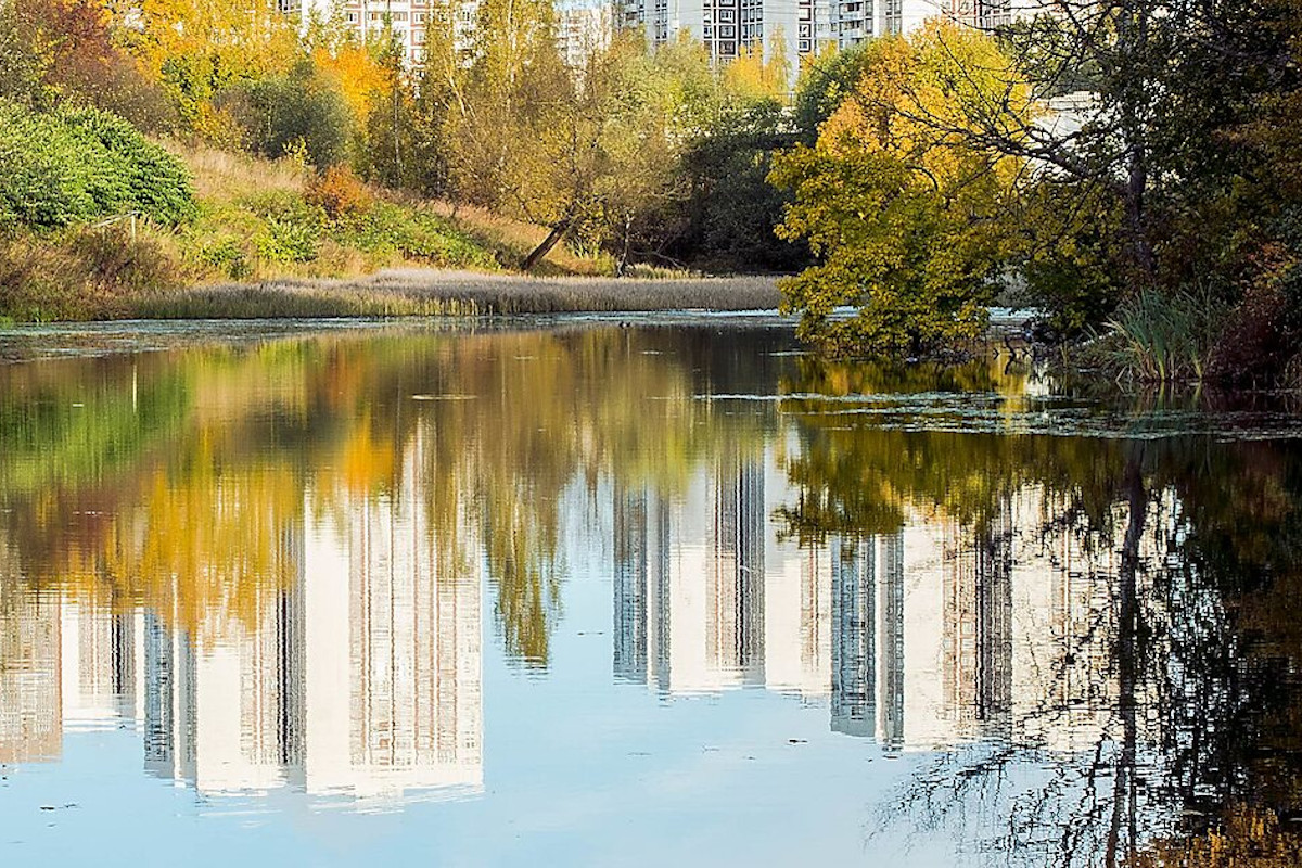 Зеленоград, новости: Новый сезон. События сентября в Зеленограде