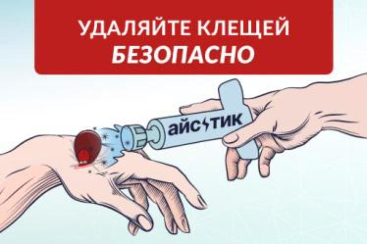 Зеленоград, новости: Клещи открыли сезон. Зеленоградская компания выпускает  набор для безопасного извлечения клещей