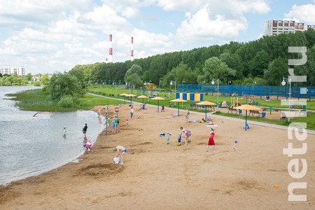 Зеленоград, новости: Школьное озеро назвали образцовой зоной отдыха для купания