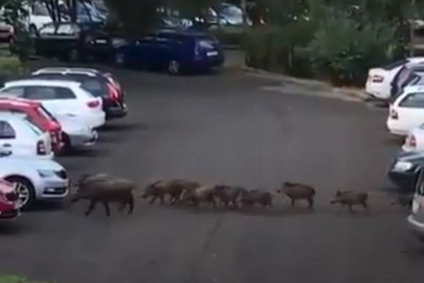 Порно зеленоград онлайн. Лучшее секс видео бесплатно.